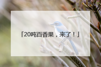 20吨百香果，来了！