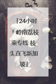 24小时！岭南荔枝乘专线 枝头直飞新加坡