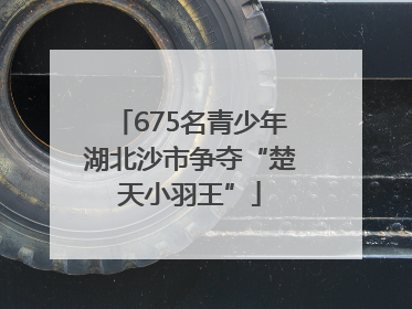 675名青少年湖北沙市争夺“楚天小羽王”