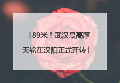 89米！武汉最高摩天轮在汉阳正式开转