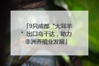 9只成都“大耳羊”出口乌干达，助力非洲养殖业发展