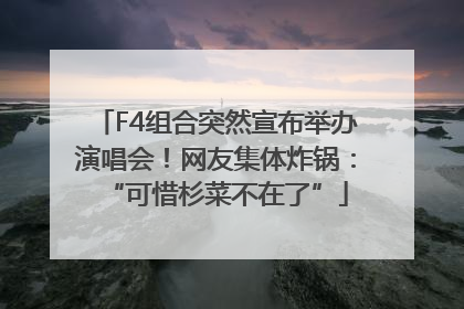 F4组合突然宣布举办演唱会！网友集体炸锅：“可惜杉菜不在了”