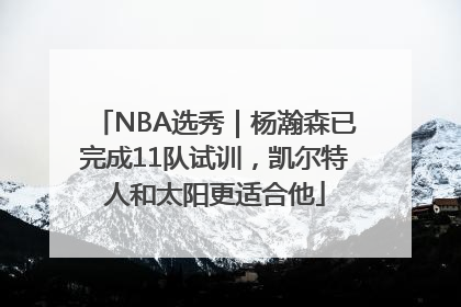 NBA选秀｜杨瀚森已完成11队试训，凯尔特人和太阳更适合他