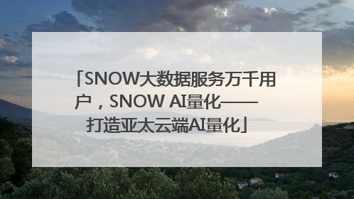 SNOW大数据服务万千用户，SNOW AI量化——打造亚太云端AI量化