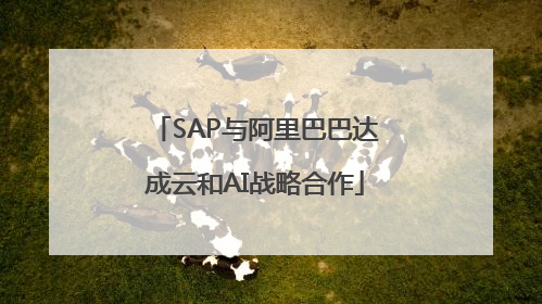 SAP与阿里巴巴达成云和AI战略合作
