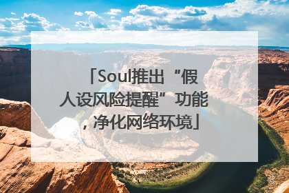Soul推出“假人设风险提醒”功能，净化网络环境