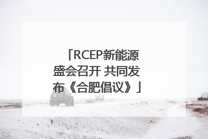 RCEP新能源盛会召开 共同发布《合肥倡议》