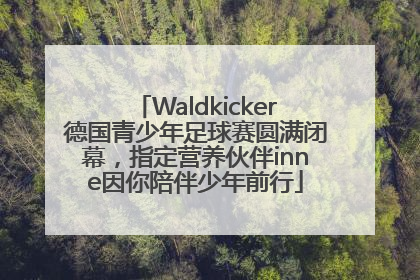 Waldkicker德国青少年足球赛圆满闭幕，指定营养伙伴inne因你陪伴少年前行